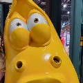 member face