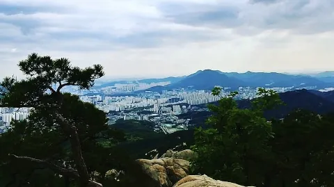 정모 대표 이미지