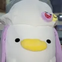 member face
