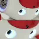 member face
