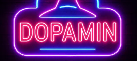 모임 대표 이미지