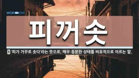 정모 대표 이미지