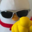 member face