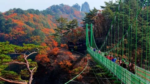 정모 대표 이미지