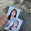 member face
