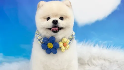 정모 대표 이미지