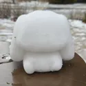 member face
