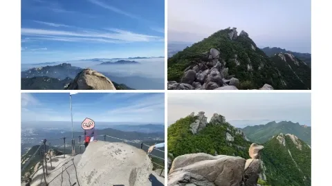 정모 대표 이미지