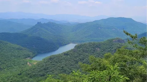 정모 대표 이미지