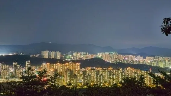 정모 대표 이미지