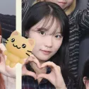 member face
