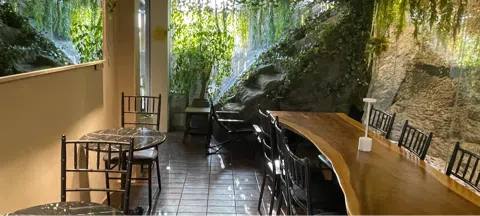 모임 대표 이미지