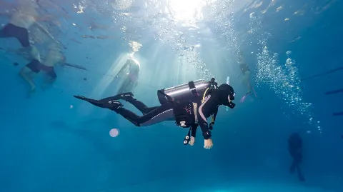 정모 대표 이미지