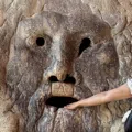 member face