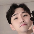 member face