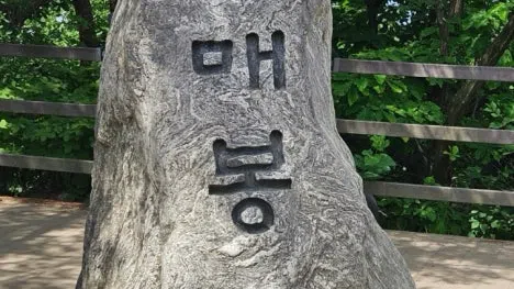 정모 대표 이미지
