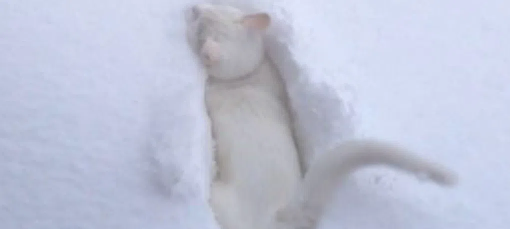 모임 이미지 1