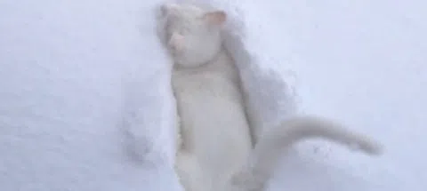 모임 대표 이미지