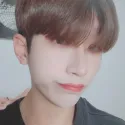 member face