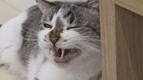 정모 대표 이미지