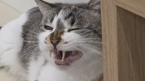 정모 대표 이미지