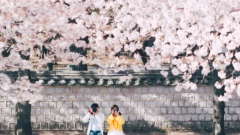 정모 대표 이미지