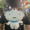 member face