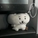 member face