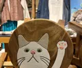 member face
