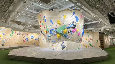 정모 대표 이미지