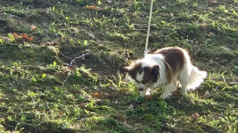 정모 대표 이미지