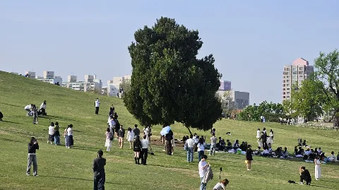 정모 대표 이미지