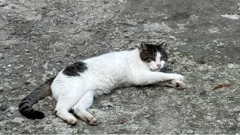 정모 대표 이미지