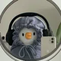 member face