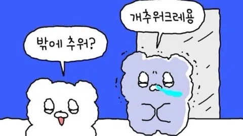 정모 대표 이미지