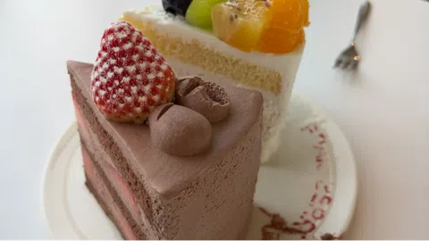 정모 대표 이미지