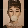 member face