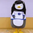 member face
