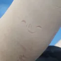 member face