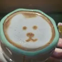 member face