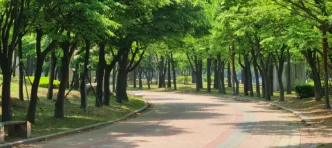 모임 대표 이미지