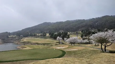 정모 대표 이미지