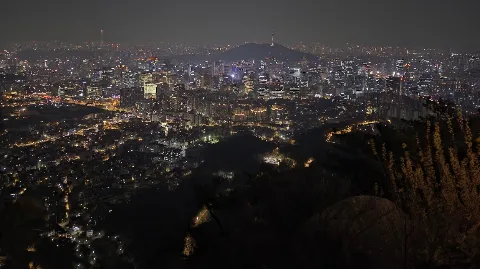 정모 대표 이미지