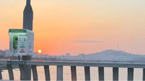 정모 대표 이미지