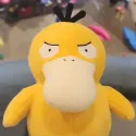 member face