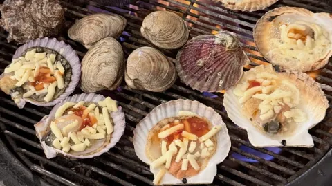 정모 대표 이미지