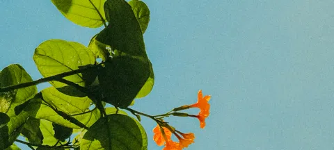 모임 대표 이미지