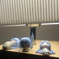 member face