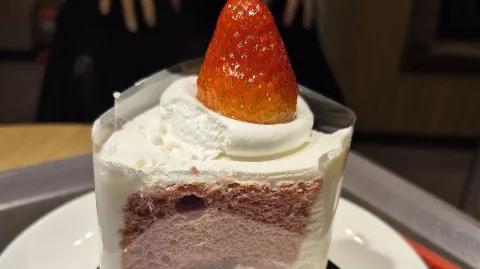 정모 대표 이미지