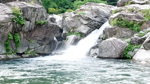 정모 대표 이미지